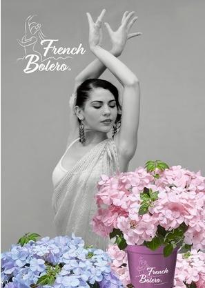 French Bolero Frau